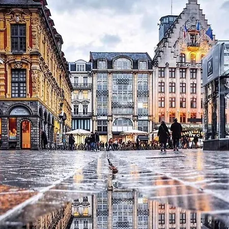 Le Nouveau Moulin By Concierge Apartment Lille